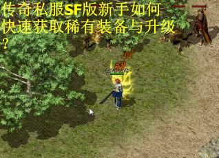 传奇私服SF版新手如何快速获取稀有装备与升级？