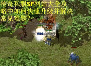 传奇私服SF网站大全攻略中如何快速升级并解决常见难题？