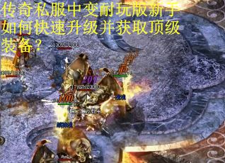 传奇私服中变耐玩版新手如何快速升级并获取顶级装备？