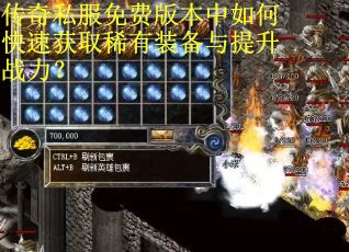 传奇私服免费版本中如何快速获取稀有装备与提升战力？
