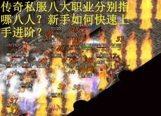 传奇私服八大职业分别指哪八人？新手如何快速上手进阶？