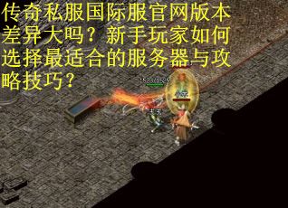 传奇私服国际服官网版本差异大吗？新手玩家如何选择最适合的服务器与攻略技巧？