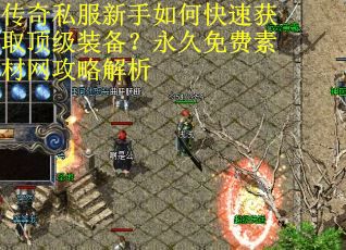 传奇私服新手如何快速获取顶级装备？永久免费素材网攻略解析