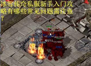 冰雪传奇私服新手入门攻略有哪些常见问题需注意？
