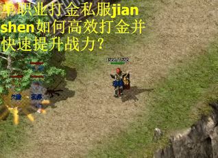 单职业打金私服jianshen如何高效打金并快速提升战力？