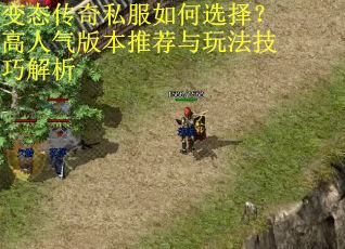 变态传奇私服如何选择?高人气版本推荐与玩法技巧解析 变态传奇私服如何选择?高人气版本推荐与玩法技巧解析