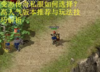 变态传奇私服如何选择?高人气版本推荐与玩法技巧解析 变态传奇私服如何选择?高人气版本推荐与玩法技巧解析