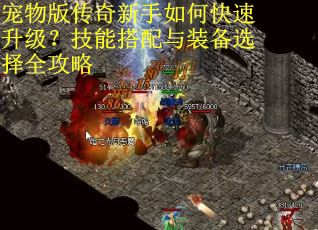 宠物版传奇新手如何快速升级？技能搭配与装备选择全攻略
