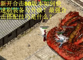 新开合击80版本如何快速刷装备与升级？最强合击搭配技巧是什么？