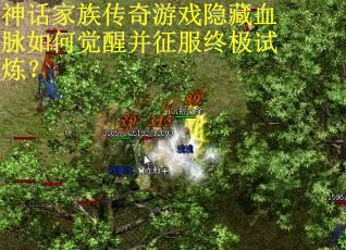 神话家族传奇游戏隐藏血脉如何觉醒并征服终极试炼? 神话家族传奇游戏隐藏血脉如何觉醒并征服终极试炼?