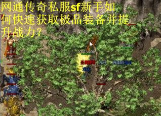网通传奇私服sf新手如何快速获取极品装备并提升战力？