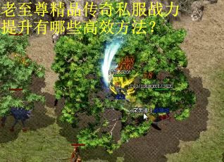 老至尊精品传奇私服战力提升有哪些高效方法? 老至尊精品传奇私服战力提升有哪些高效方法?