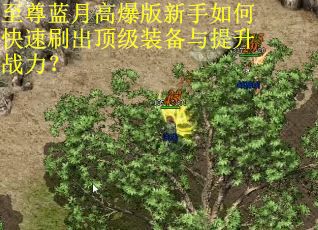 至尊蓝月高爆版新手如何快速刷出顶级装备与提升战力? 至尊蓝月高爆版新手如何快速刷出顶级装备与提升战力?