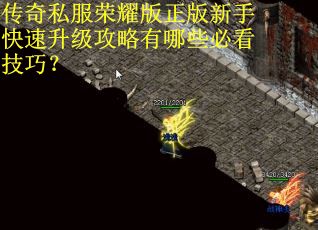 传奇私服荣耀版正版新手快速升级攻略有哪些必看技巧？