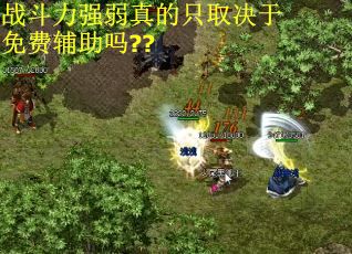 战斗力强弱真的只取决于免费辅助吗??