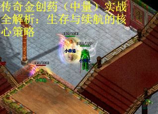 传奇金创药（中量）实战全解析：生存与续航的核心策略