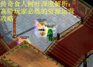 传奇食人树叶深度解析：高阶玩家必练的资源运营攻略