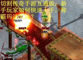切割传奇手游互通版：新手玩家如何快速上手，称霸玛法大陆？