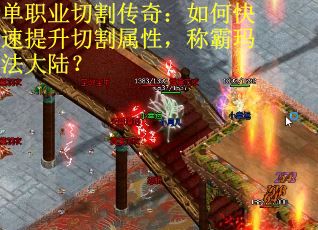 单职业切割传奇：如何快速提升切割属性，称霸玛法大陆？