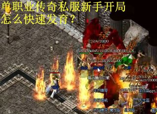单职业传奇私服新手开局怎么快速发育？