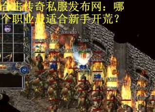 合击传奇私服发布网：哪个职业最适合新手开荒？