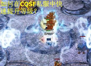 如何在CQSF私服中快速提升等级？