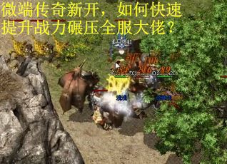 微端传奇新开，如何快速提升战力碾压全服大佬？