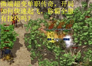 微端超变单职传奇，开局如何快速起飞，称霸全服有技巧吗？