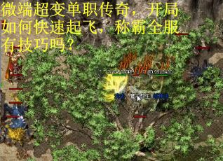微端超变单职传奇，开局如何快速起飞，称霸全服有技巧吗？