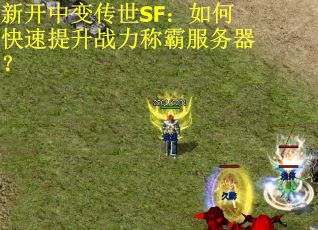 新开中变传世SF：如何快速提升战力称霸服务器？