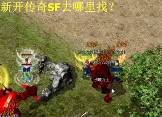 新开传奇SF去哪里找?