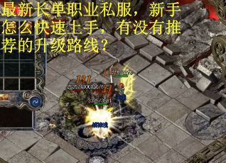 最新长单职业私服，新手怎么快速上手，有没有推荐的升级路线？