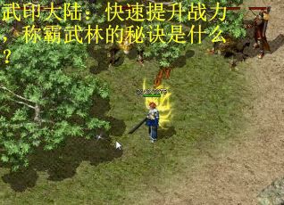 武印大陆：快速提升战力，称霸武林的秘诀是什么？