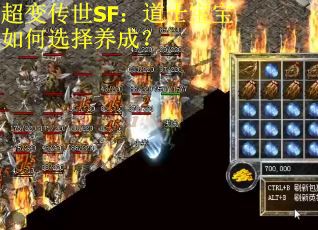 超变传世SF：道士宝宝如何选择养成？
