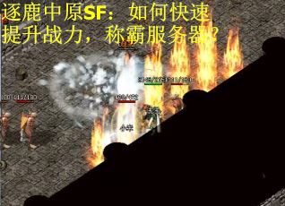 逐鹿中原SF：如何快速提升战力，称霸服务器？