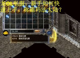 龙OL私服：新手如何快速上手，称霸玛法大陆？