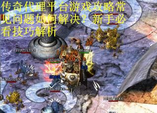 传奇代理平台游戏攻略常见问题如何解决？新手必看技巧解析
