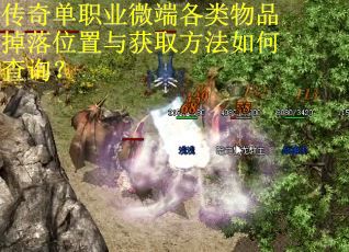 传奇单职业微端各类物品掉落位置与获取方法如何查询？