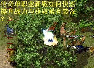 传奇单职业新版如何快速提升战力与获取稀有装备？