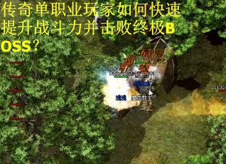 传奇单职业玩家如何快速提升战斗力并击败终极BOSS？