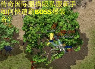 传奇国际服横版私服新手如何快速刷BOSS爆装备？