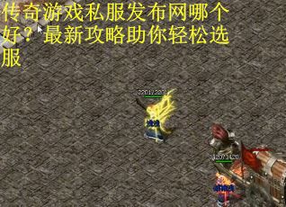 传奇游戏私服发布网哪个好？最新攻略助你轻松选服