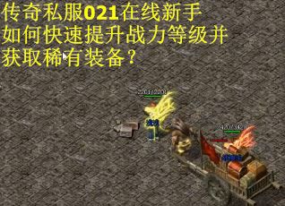 传奇私服021在线新手如何快速提升战力等级并获取稀有装备？
