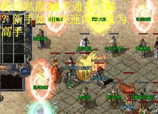 传奇私服30关通关攻略？新手如何快速闯关成为高手