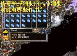 传奇私服辅助的战斗辅助功能有哪些作用？