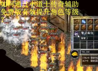 如何通过小道士传奇辅助免费版有效提升角色等级？