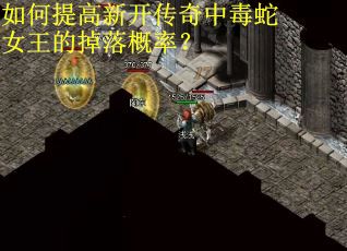 如何提高新开传奇中毒蛇女王的掉落概率? 如何提高新开传奇中毒蛇女王的掉落概率?