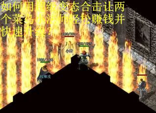 如何用超级变态合击让两个菜鸟小法师轻松赚钱并快速升级? 如何用超级变态合击让两个菜鸟小法师轻松赚钱并快速升级?