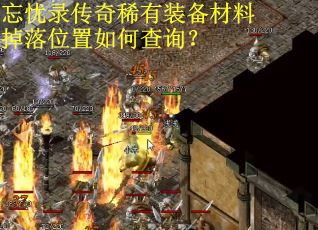 忘忧录传奇稀有装备材料掉落位置如何查询？