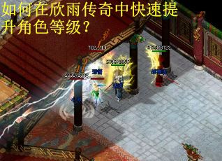 如何在欣雨传奇中快速提升角色等级？